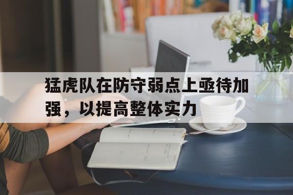 半岛体育-关于猛虎队在防守弱点上亟待加强，以提高整体实力的信息